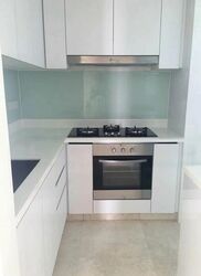 Eight Riversuites (D12), Condominium #618348821